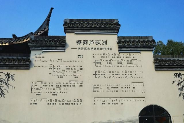 芦荻州在哪里(芦荻长在哪里)