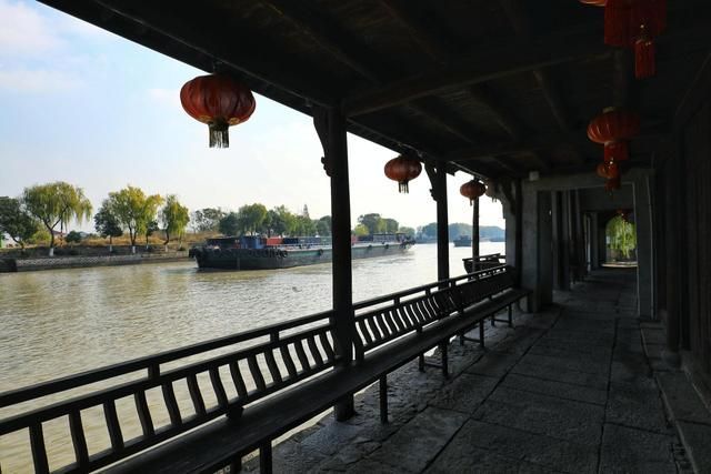 芦荻州在哪里(芦荻长在哪里)