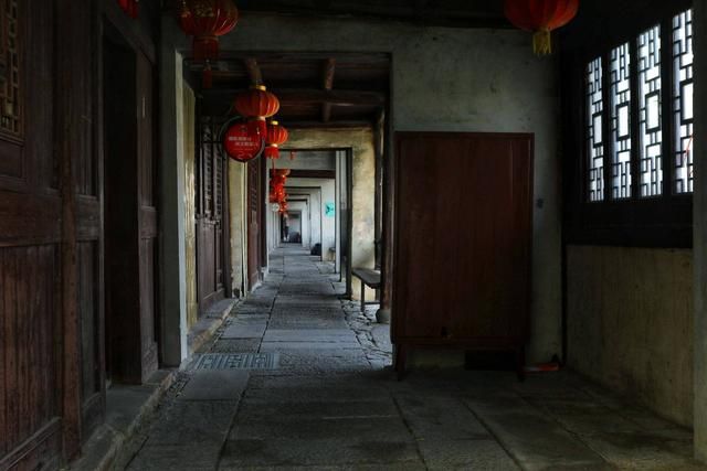 芦荻州在哪里(芦荻长在哪里)