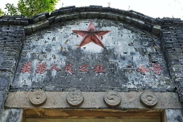 芦荻州在哪里(芦荻长在哪里)