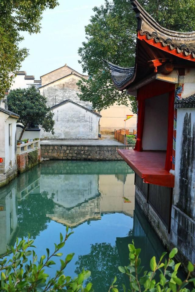 芦荻州在哪里(芦荻长在哪里)
