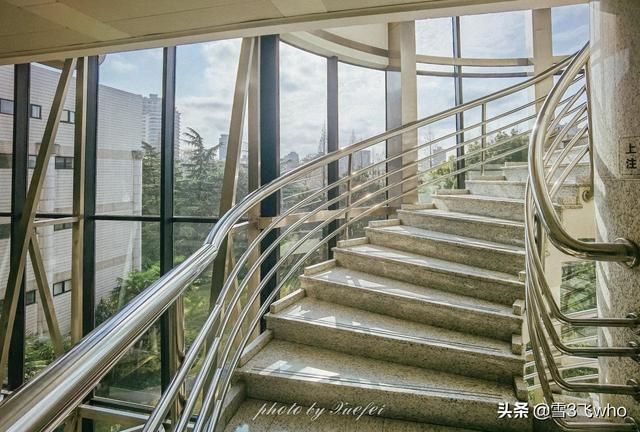 上海图书馆在哪个区(上海图书馆在哪里)