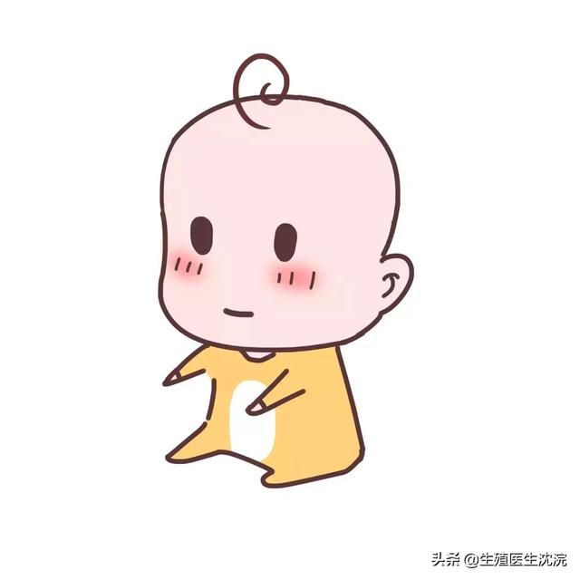 精卵在哪里结合(精卵结合部位在哪里)