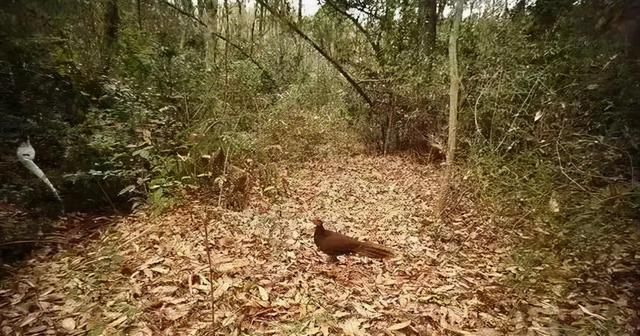 獐洲岛在哪(漳州到清华怎么走)