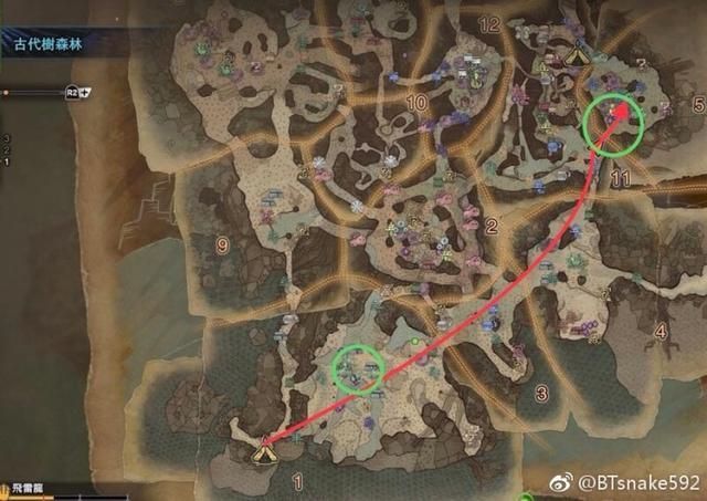m樱火龙在哪(大师樱火龙怎么开)