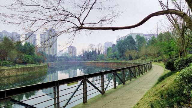 重庆二日游旅行社(重庆二日游必去景点)