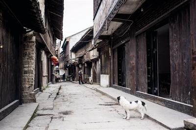 包含桐乡村在哪的词条