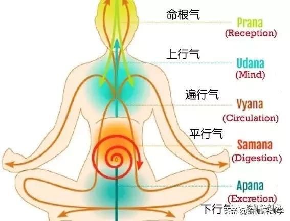 包含命根气在哪的词条