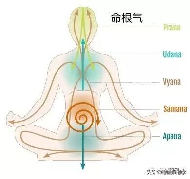 包含命根气在哪的词条