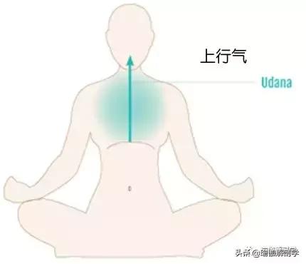 包含命根气在哪的词条