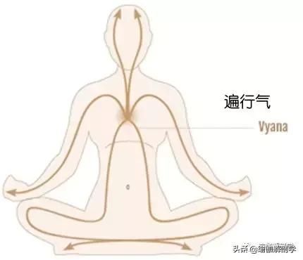 包含命根气在哪的词条
