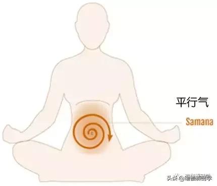 包含命根气在哪的词条