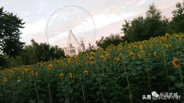 天马湖在哪(天马湖水库)