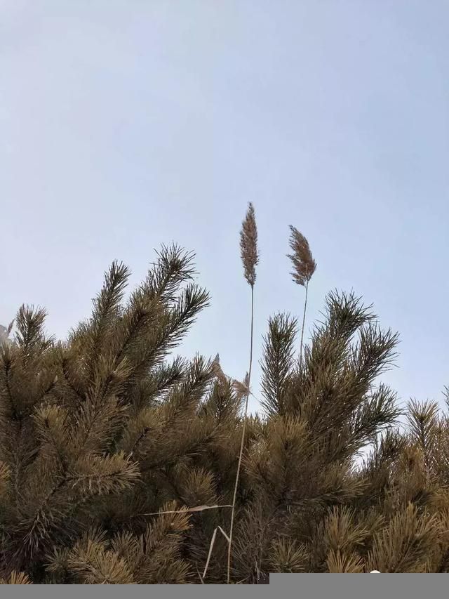 天马湖在哪(天马湖水库)