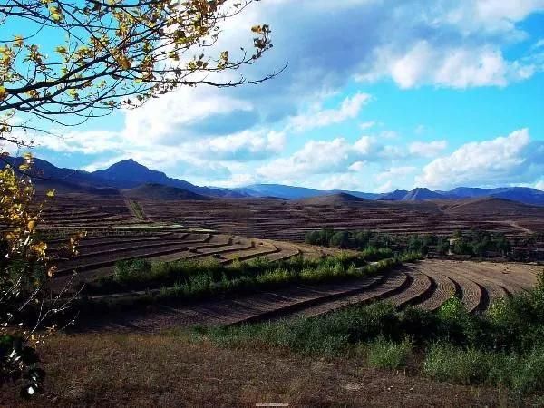 冷山在哪里(冷山在线观看完整)