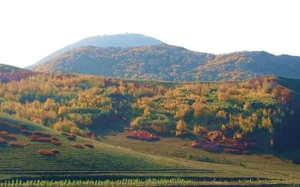 冷山在哪里(冷山在线观看完整)