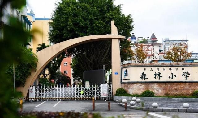 渝高中学和杨家坪中学哪个好(杨家坪中学和渝高中学哪个初中部好)