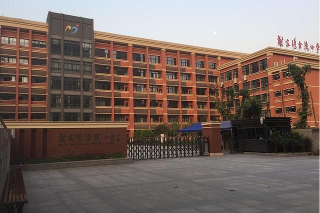 渝高中学和杨家坪中学哪个好(杨家坪中学和渝高中学哪个初中部好)