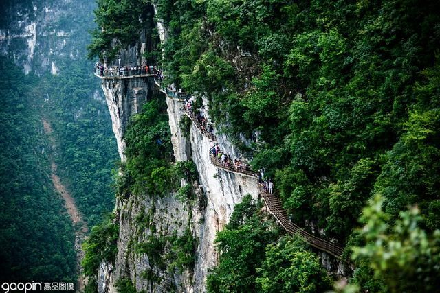 龙缸在哪里(龙岗在哪里)
