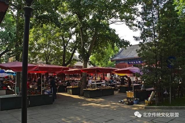 北京钱币市场在哪里(北京钱币市场国库券价格参考表)