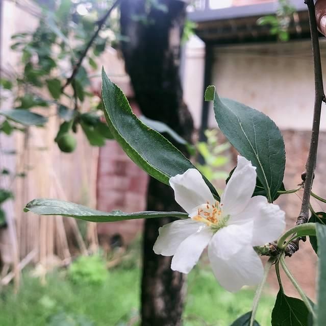 丽江氧气瓶在哪买(丽江氧气瓶多少钱一罐)