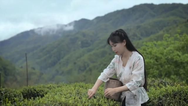 节奏大师文件夹在哪(节奏大师rm文件夹下载)