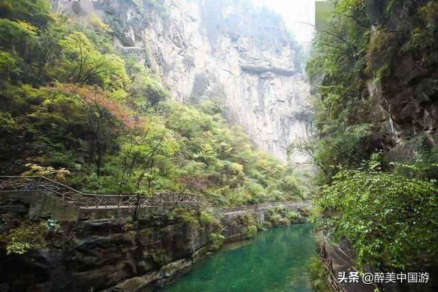 龙峡湖在哪(龙虾花)