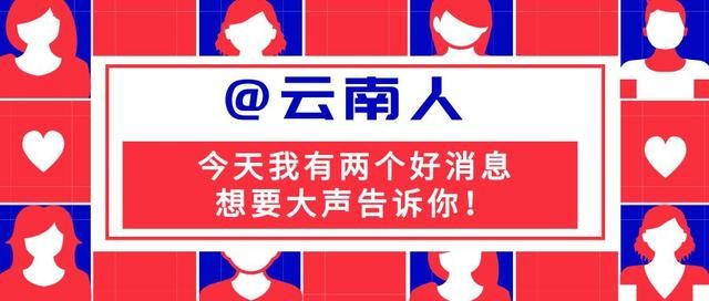 云南电子税务app下载安装的简单介绍