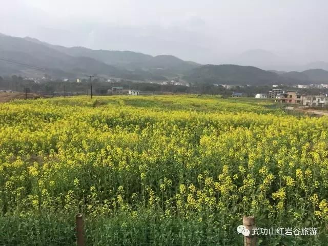 武功山滑草场在哪里(武功山滑草场打卡朋友圈)