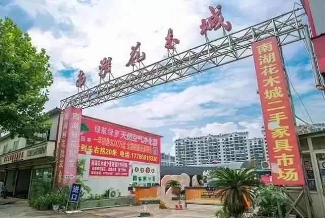 汉口花鸟市场在哪的简单介绍
