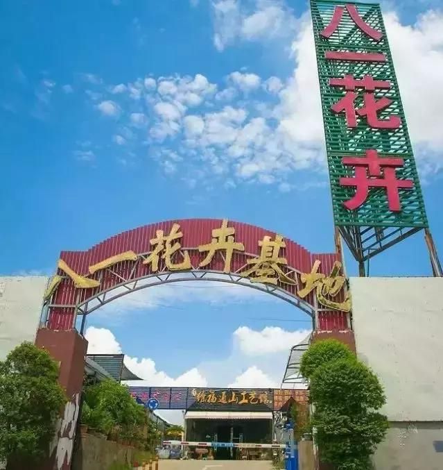汉口花鸟市场在哪的简单介绍