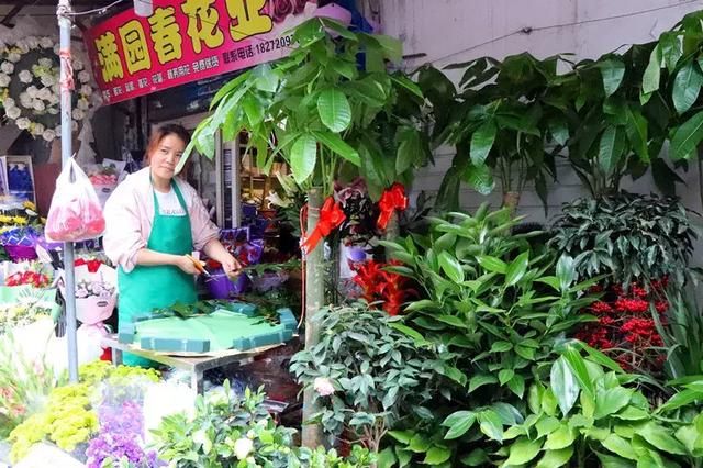 汉口花鸟市场在哪的简单介绍
