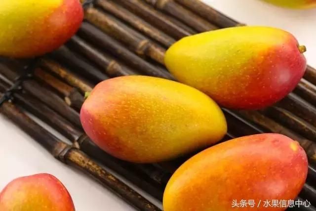澳芒产地在哪里(澳芒产地)
