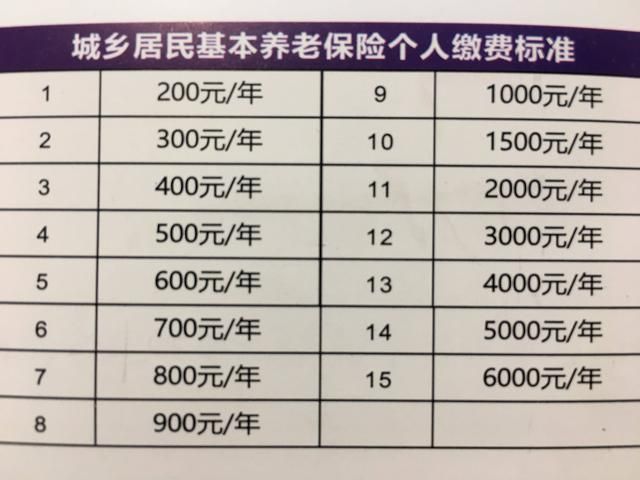 广西税务局官网12366下载(广西12366电子税务局官网显示已经交费)