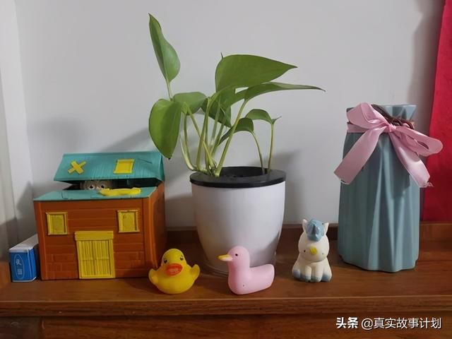 橙光忘记原密码人工客服(橙光忘记原密码怎么办)