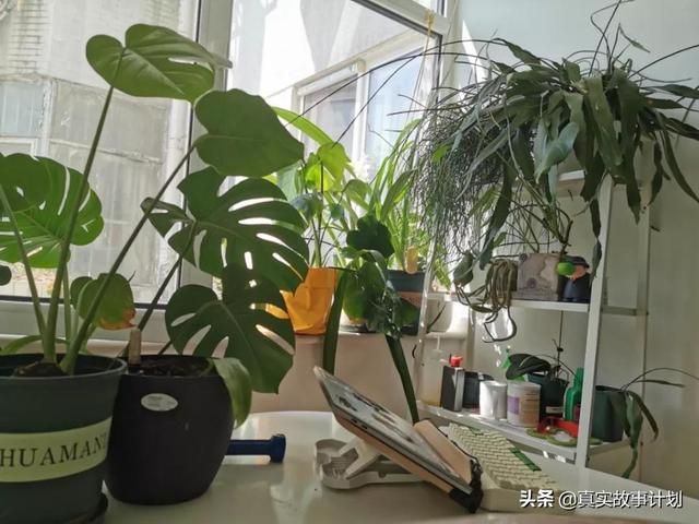 橙光忘记原密码人工客服(橙光忘记原密码怎么办)