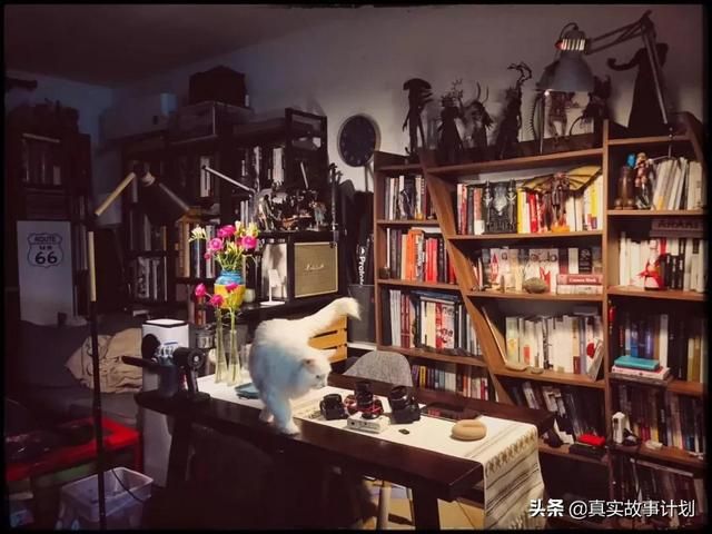 橙光忘记原密码人工客服(橙光忘记原密码怎么办)