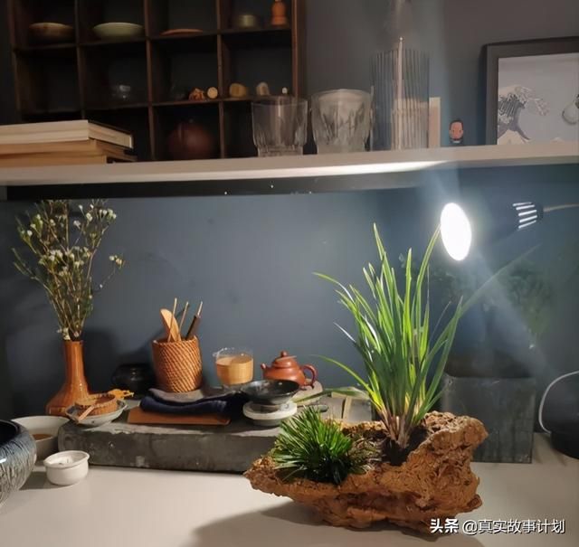 橙光忘记原密码人工客服(橙光忘记原密码怎么办)