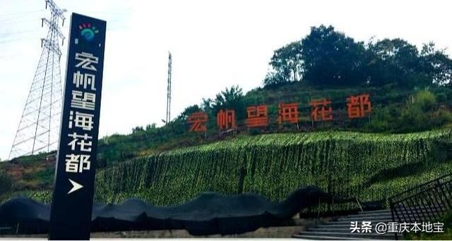 江北花鸟市场在哪里(哈尔滨江北花鸟鱼市场在哪里)