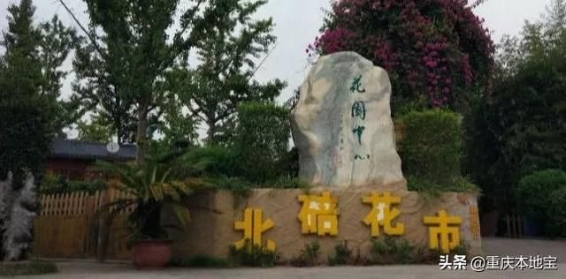 江北花鸟市场在哪里(哈尔滨江北花鸟鱼市场在哪里)