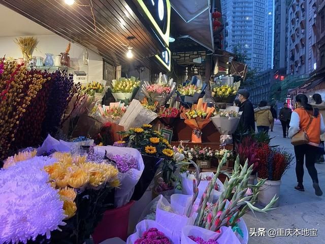 江北花鸟市场在哪里(哈尔滨江北花鸟鱼市场在哪里)