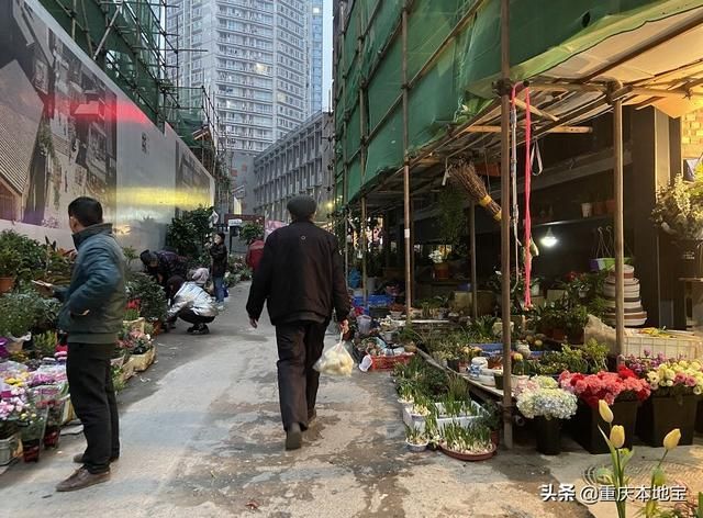 江北花鸟市场在哪里(哈尔滨江北花鸟鱼市场在哪里)