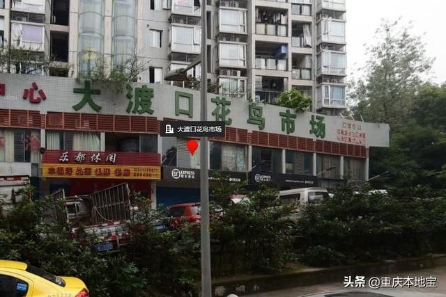 江北花鸟市场在哪里(哈尔滨江北花鸟鱼市场在哪里)