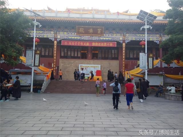 广东南山寺在哪里(广东南山寺什么时候开放)