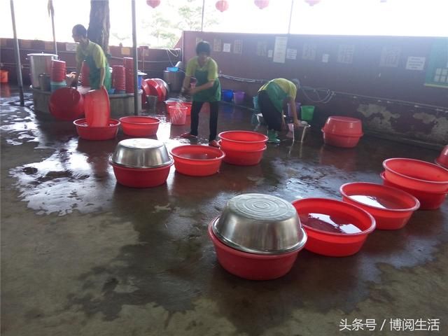 广东南山寺在哪里(广东南山寺什么时候开放)