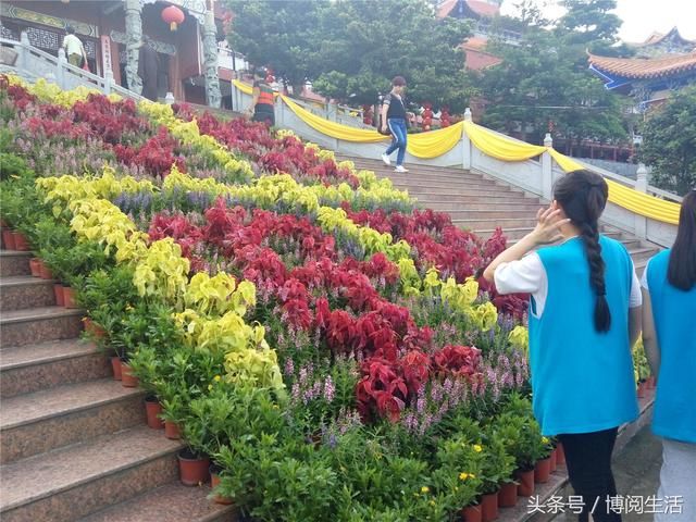 广东南山寺在哪里(广东南山寺什么时候开放)