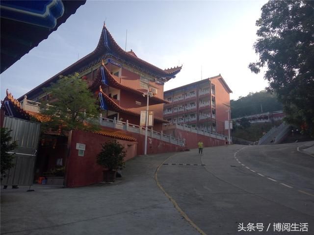 广东南山寺在哪里(广东南山寺什么时候开放)