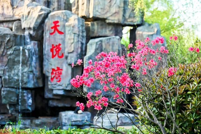 温泉水在哪(创世小玩家2温泉水在哪)
