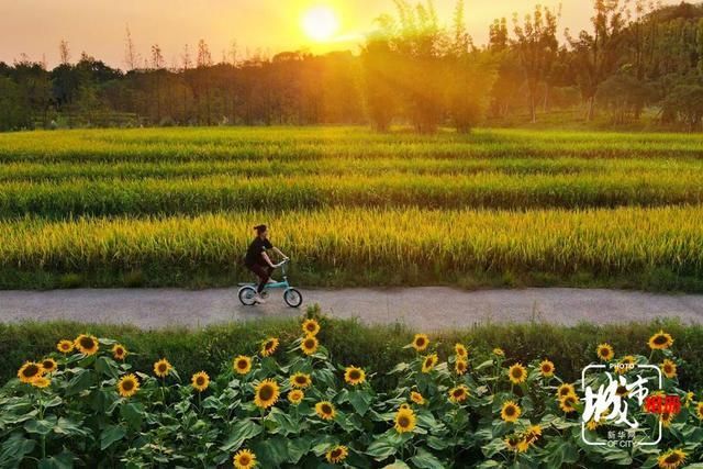 重庆市政府交易中心(大庆市政府公共资源交易中心)