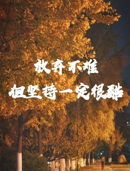 2022考研招生简章(2022考研时间安排表)